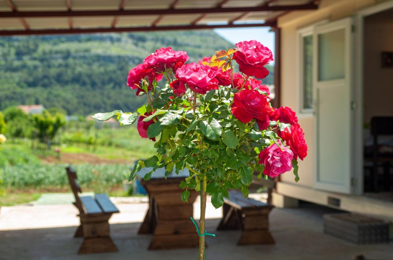 Smjestaj Dada Villa Trebinje Buitenkant foto