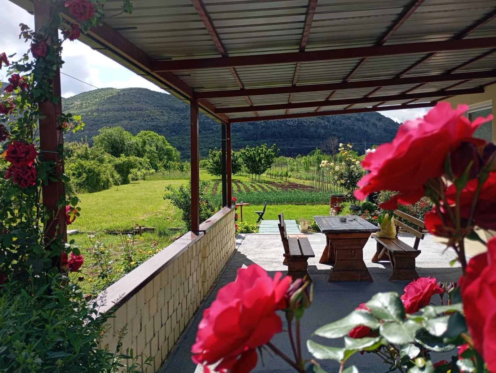 Smjestaj Dada Villa Trebinje Buitenkant foto