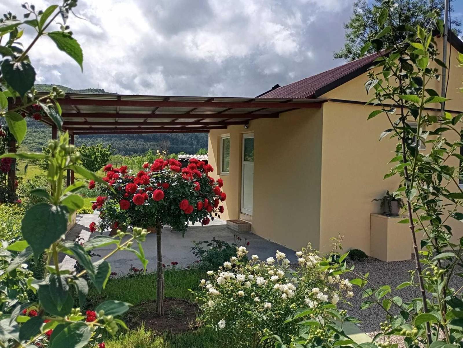 Smjestaj Dada Villa Trebinje Buitenkant foto